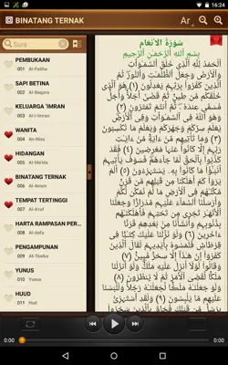 Al-Quran android App screenshot 2